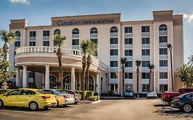 Comfort Inn And Suites Lakeland Fl